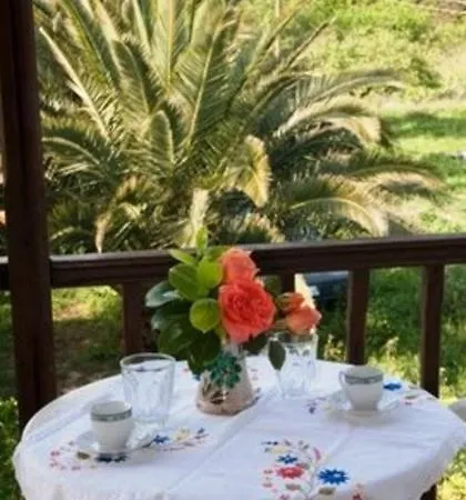 Triantafyllou Maria Guest house Skopelos Town